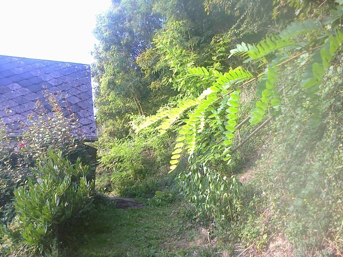 Cormeilles  A Flanc De Collineヴィラ エクステリア 写真